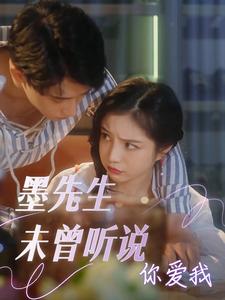 墨先生未曾听说你爱我封面图