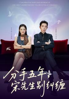 分手五年宋先生别纠缠封面图