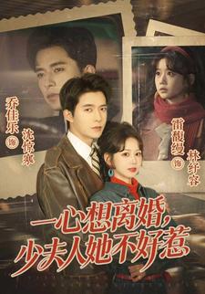 一心想离婚少夫人她不好惹封面图