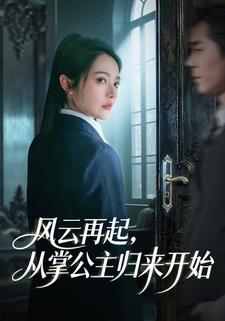 风云再起从掌公主归来开始封面图